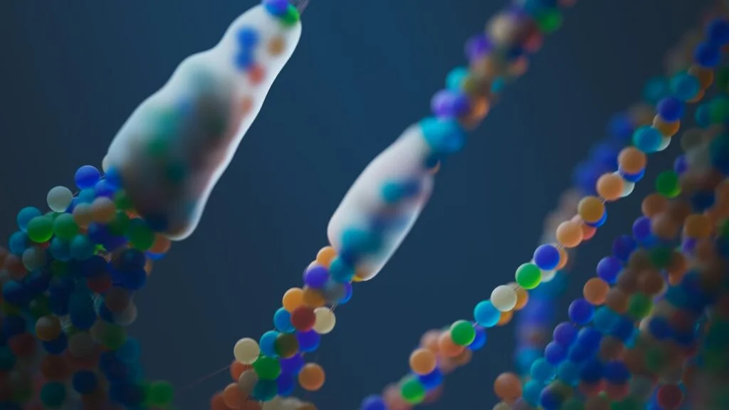 pexels-photo-25626515 Protein Folding